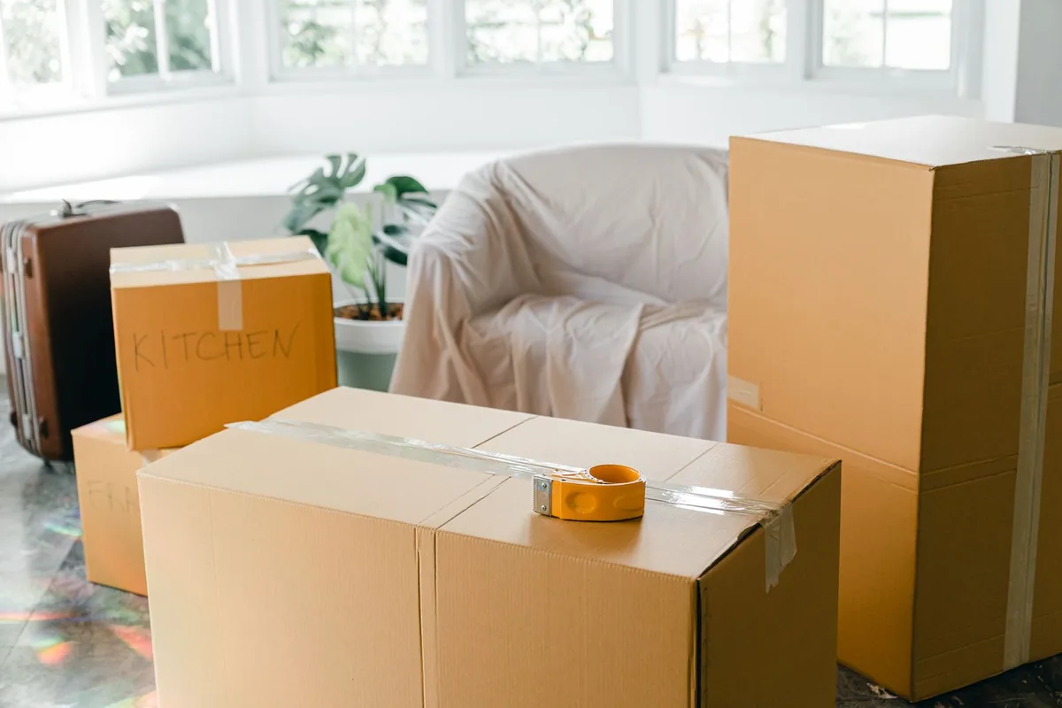 Hoarding Cleanup in Las Flores, CA